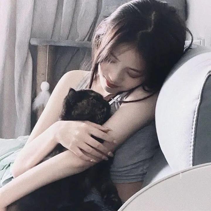翩然而至