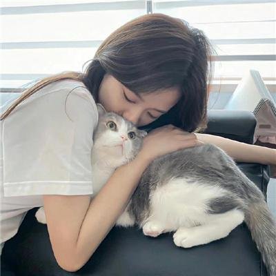 恋姬无双
